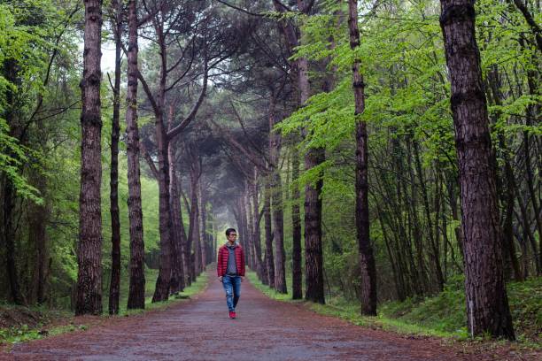 istock Man enjoying a walk in nature 1144478936
