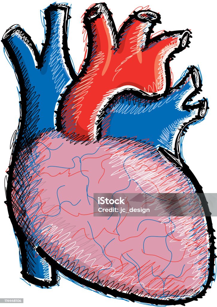 人間の心臓イラストレーション - 人の心臓のロイヤリティフリーベクトルアート
