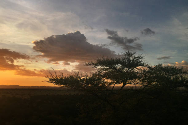 istock Sunset at Serengeti National Park 1144483533