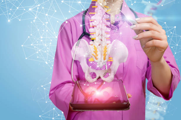 A physiotherapist operating with artificial spine model hanging above a tablet. A closeup of physiotherapist with stethoscope pointing at a spine model with pelvis element hanging above a gadget with wireless connections around. The concept of innovative spine diseases treatment. pain points stock pictures, royalty-free photos & images
