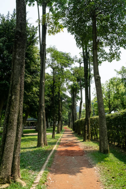 istock Trail in the park. Natural scenery in Asia. 1144485626
