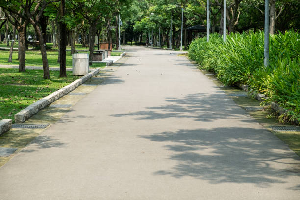 istock Trail in the park. Natural scenery in Asia. 1144485727