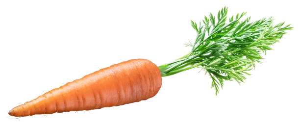 свежая органическая морковь на белом фоне. - carrot isolated white carotene стоковые фото и изображения
