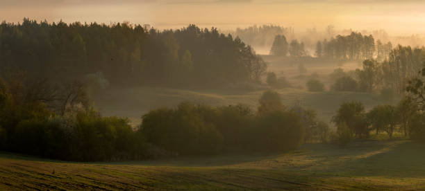istock spring, misty morning over the valley 1144488477
