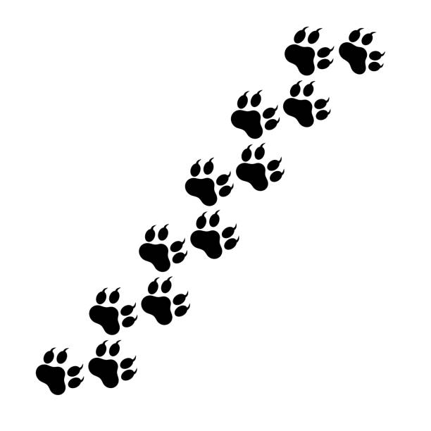 ilustraciones, imágenes clip art, dibujos animados e iconos de stock de móvil - paw print animal track dirt track