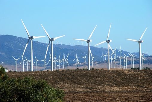 Tall white modern wind generators in a field, near Tarifa, Costa de la Luz, Cadiz Province, Andalusia, Spain, Europe.