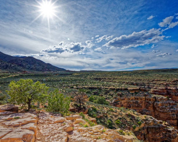 istock Little Colorado River Gorge 1144495654
