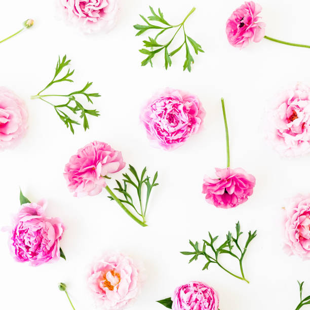 istock Floral composition with pink flowers on white background. Flat lay 1144496867