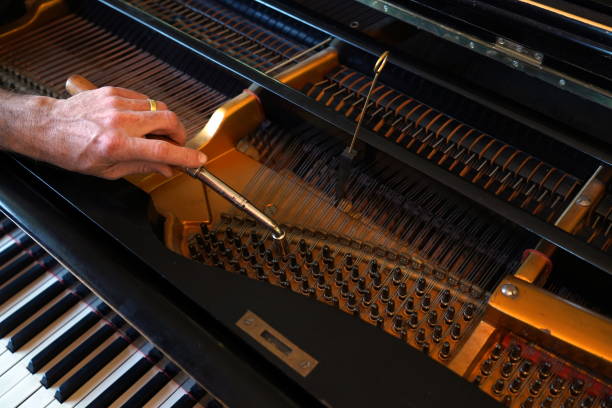 grand piano tuner - klavierstimmer am flügel - piano pedal stock-fotos und bilder