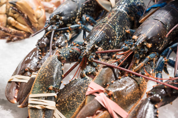 istock Of the market sea fish 1144501334