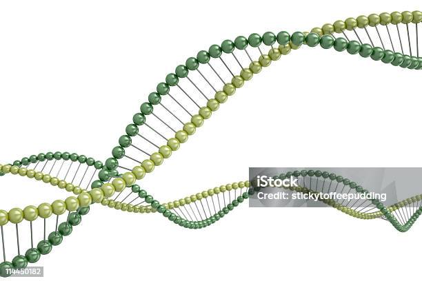 Verde Filamenti Del Dna Concetto 3d - Fotografie stock e altre immagini di Contorto - Contorto, DNA, Tridimensionale