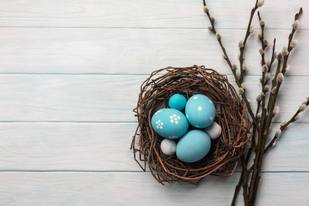 istock Blue painted eggs in nest and pussy willow. Easter greeting card. Top view with space for your greetings 1144502254