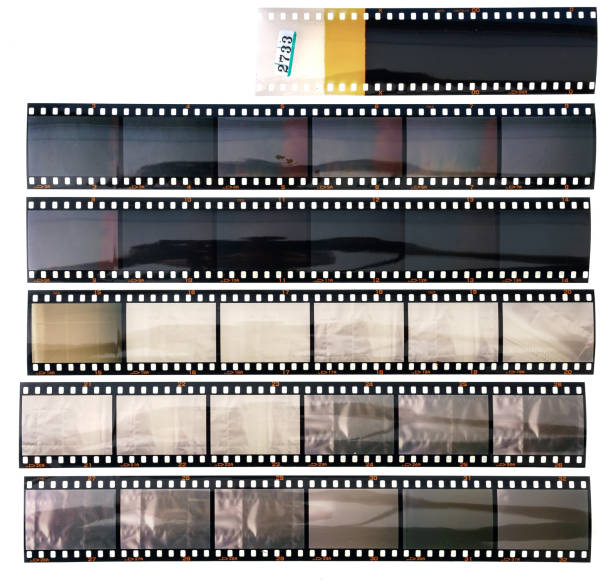 set of long 35mm film strips on white background with empty frames or film cells, contact sheet set of real film strips darkroom photos stock pictures, royalty-free photos & images