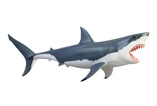 Model of the shark isolated white background