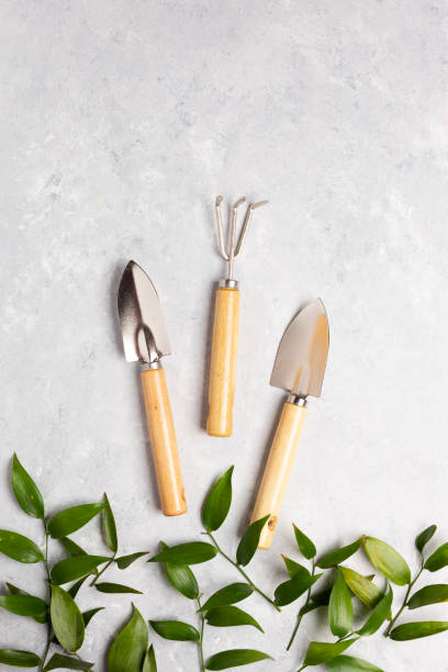 istock Pink rose flowers and garden tools on a marble background. 1144504091