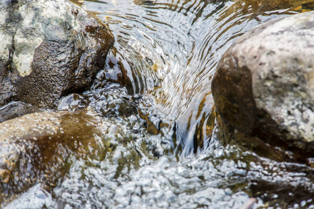 istock Close-up of clear water flowing through pebbles in stream 1144505556