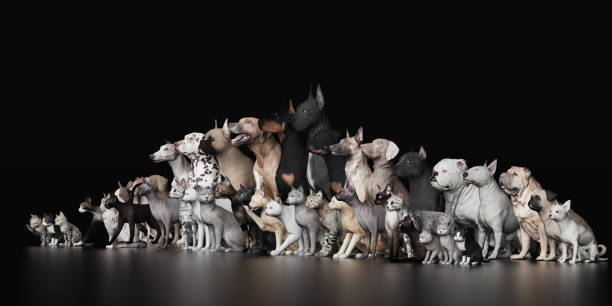 istock Large group of Dogs and Cats left view 3d render 1144507072