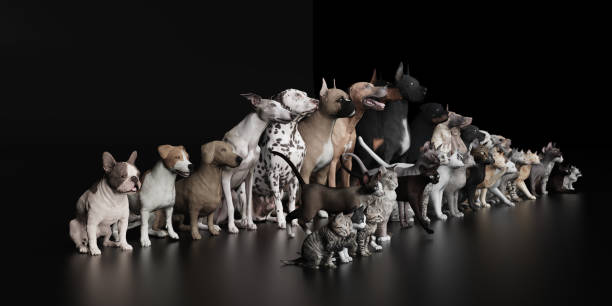 istock Cats sitting in front of dogs 3d render 1144507076