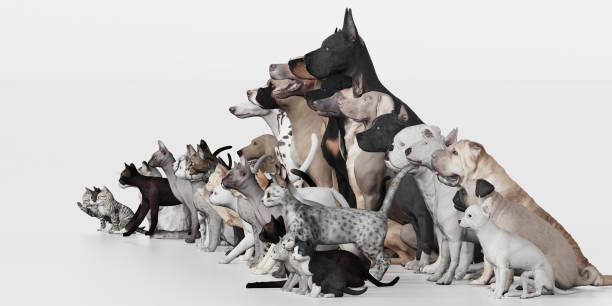 istock Dogs and Cats  as group sitting all together 3d render 1144507086
