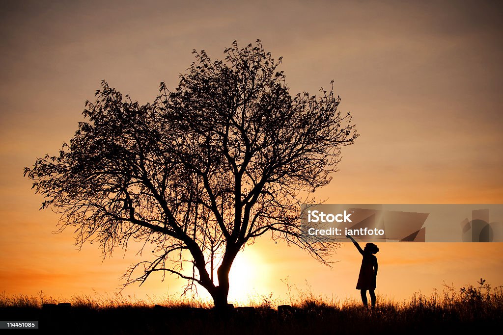 Menina e árvore. - Royalty-free Acordo Foto de stock