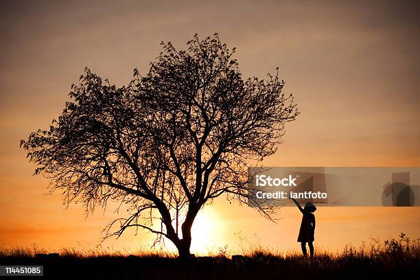 Menina E Árvore - Fotografias de stock e mais imagens de Acordo - Acordo, Ambientalista, Anoitecer