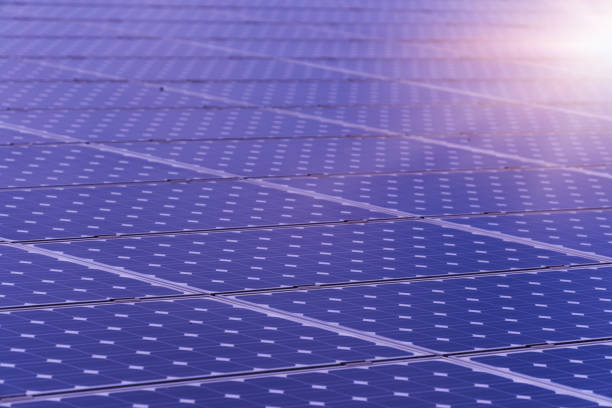 Electrical engineers working on solar energy strategy, discussing the condition of the Electrical Power, Technology, Power Equipment, Global Business, Electrical Equipment