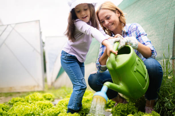 мать и дочь работают на ферме. - gardening women vegetable formal garden стоковые фото и изображения