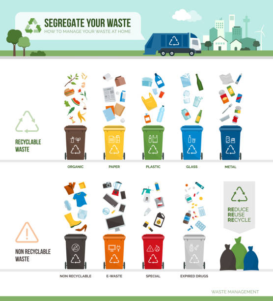 Waste segregation and recycling infographic Waste collection, segregation and recycling infographic: garbage separated into different types and collected into  waste containers, each bin holds a different material drinking glass illustrations stock illustrations