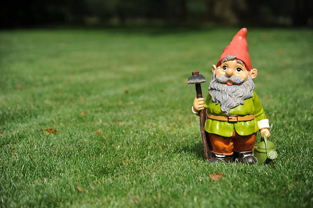 Close-up of garden gnome holding pickax and watering can Gnome Photographed on grass in garden, Gnome offset to give space to left for copy Gnome stock pictures, royalty-free photos & images