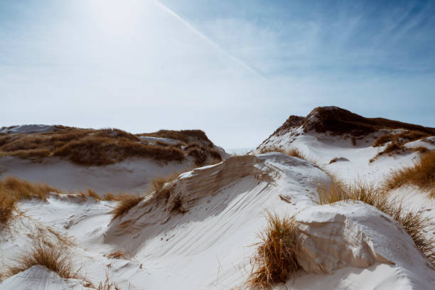 istock Sand dunes and dry grass on the shore 1144524542
