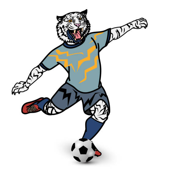 istock Tiger football player is kicking football on white background 1144530854