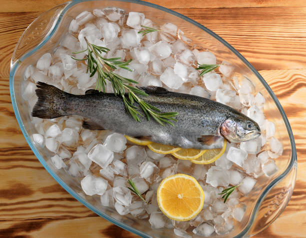 istock Fresh trout on chunks of crushed ice. 1144536977