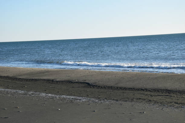 istock view of the sea beach by day in spring 1144537845