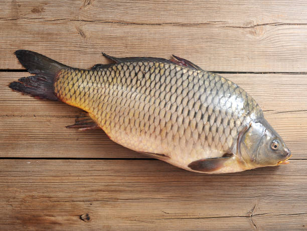 istock Live carp on a wooden surface. A traditional dish for Christmas. 1144539218
