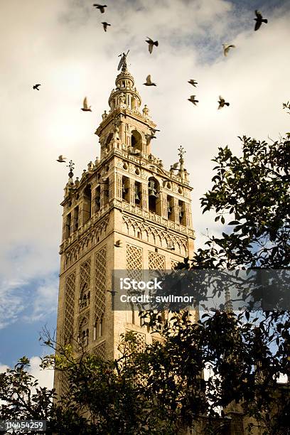 Photo libre de droit de La Giralda Avec Des Oiseaux banque d'images et plus d'images libres de droit de Arbre - Arbre, Architecture, Catholicisme