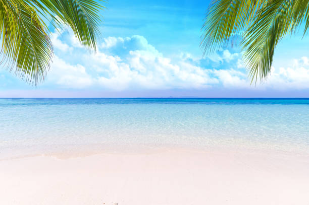 istock Calm Sea and Blue Sky Background. 1144542596