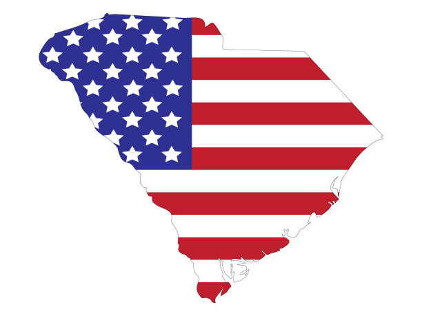 미국 국기와 함께 사우스캐롤라이나 지도 - brazil serbia stock illustrations
