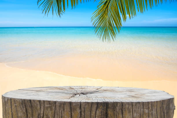 istock Coconut leaf and beautiful sea background in summer. 1144543449