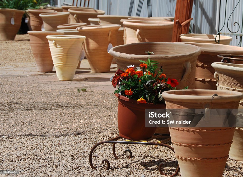 Aleatorio amplio flor ollas - Foto de stock de Color - Tipo de imagen libre de derechos