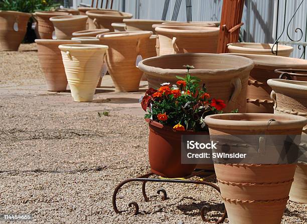 Aleatório Flor Grande Pots - Fotografias de stock e mais imagens de Colocar Planta em Vaso - Colocar Planta em Vaso, Estufa - Estrutura Feita pelo Homem, Flora