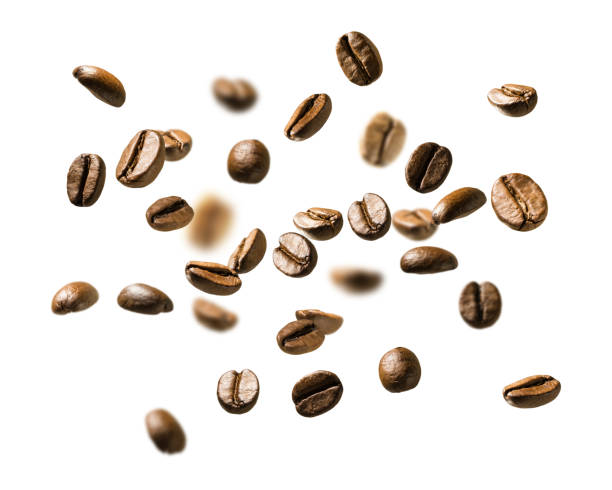 Coffee beans in flight on white background Coffee beans in flight on white background. arabica coffee drink photos stock pictures, royalty-free photos & images