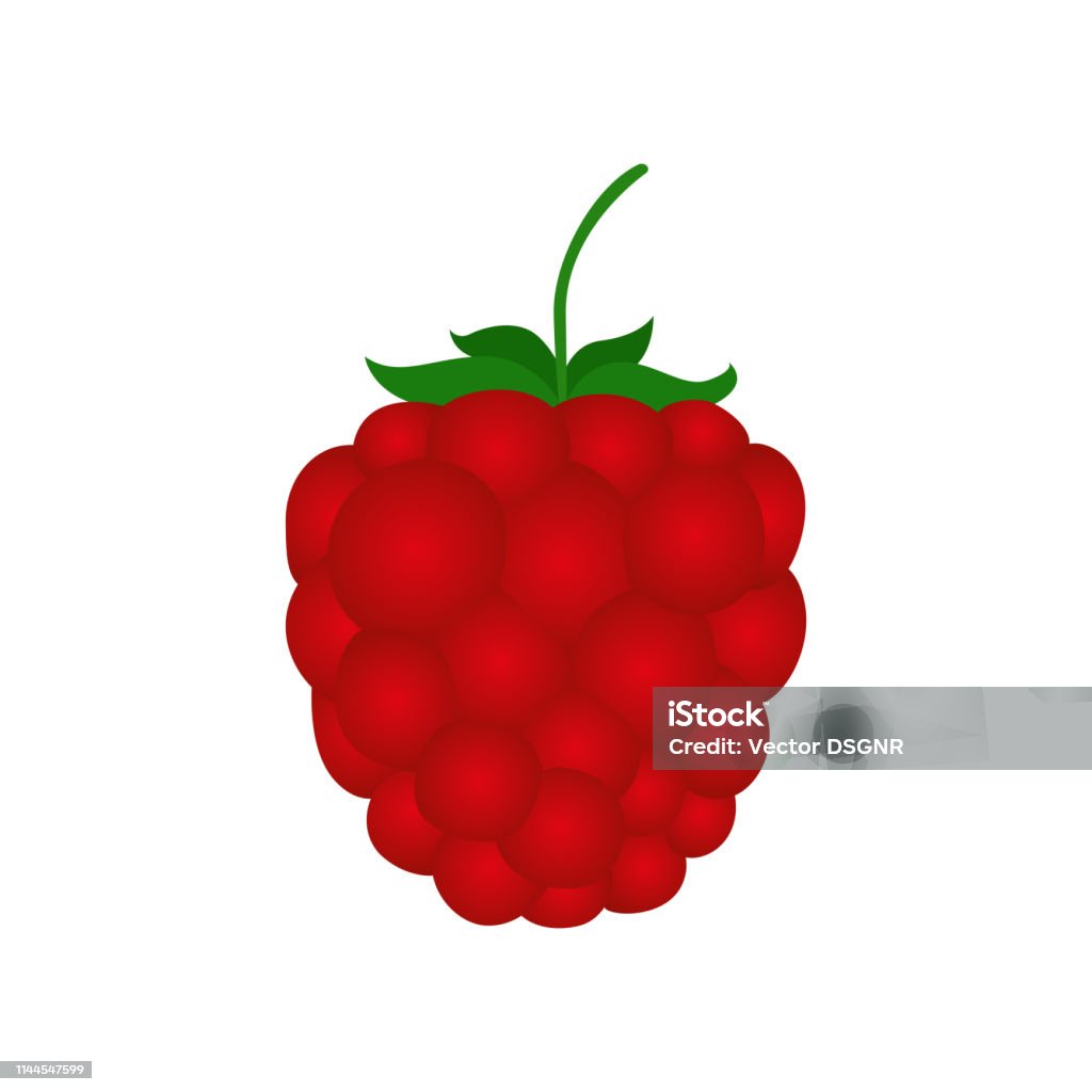 Red Raspberry Illastration Red Raspberry Vector Stock Illustration - Download Image Now - Badge ...