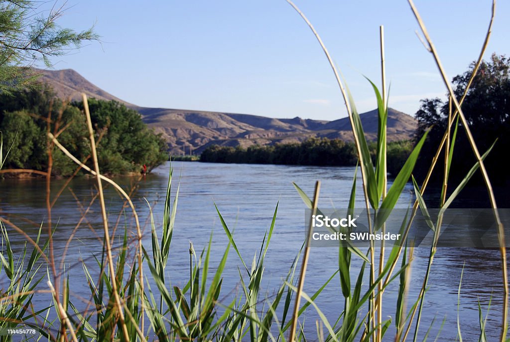 Rio Grande vicino a Las Cruces, Nuovo Messico - Foto stock royalty-free di Contea di Doña Ana