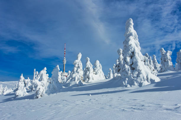 istock Majestic Winter Landscape Glowing by Sunlight, Dramatic Wintry Scene Location 1144549064