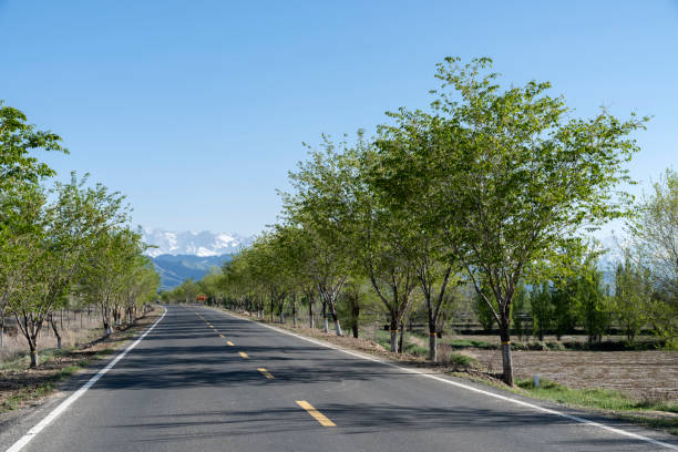istock Roads and trees against a blue sky 1144549107
