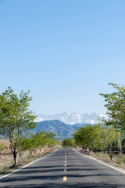 istock Roads and trees against a blue sky 1144549197