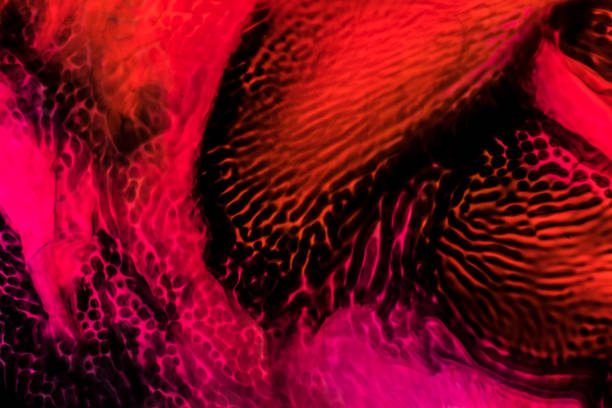 istock Background of red, orange, black ink waves 1144554163