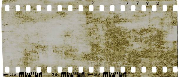 istock Film strip frame with cracked old reptile skin texture. 1144554216