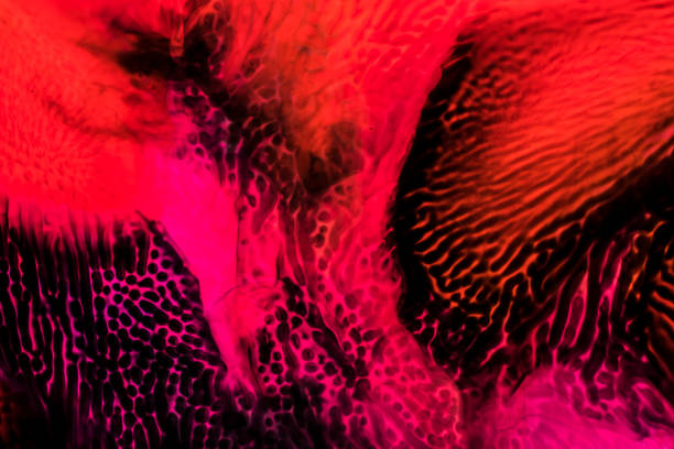 istock Background of red, orange, black ink waves 1144554225