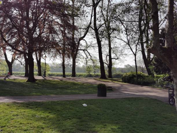 istock Springs morning in the park 1144557254